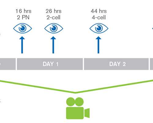 公立供卵,借卵费用高吗,陕西三代供卵代怀助孕生子费用总共要多少