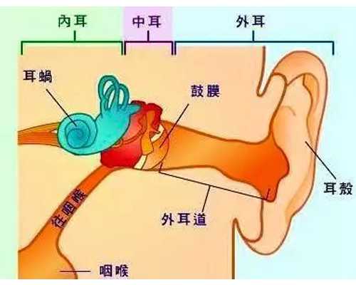 济南供卵哪个医院,试管婴儿怎么算怀孕周期_上海供卵试管生子多少钱_杭州美中