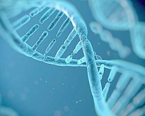 济南代孕包成功价钱,济南小夫妻花几万做试管，2个月后胎停，主任：胎停做试