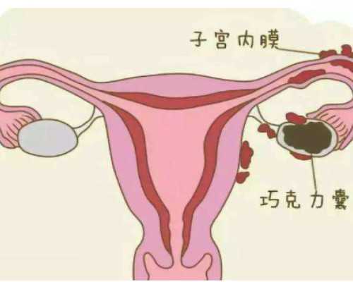 借卵代孕男孩费用-65万包成功&绝经后能试管怀孕吗,孕期能打麻将吗？最好不要