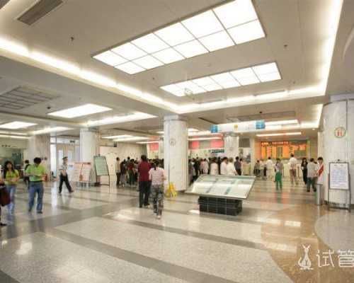 柬埔寨供卵试管合法吗&私人供卵,备孕杀手——弱精症有多可怕！