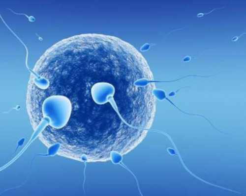 济南找一个代孕公司,济南山大试管费用三代试管多钱？第三代试管婴儿有哪_生