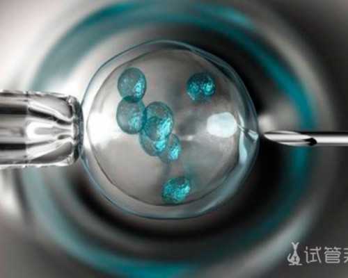 济南供卵代生价格,试管婴儿成功日记，两次促排取卵，三次移值真实经验分享