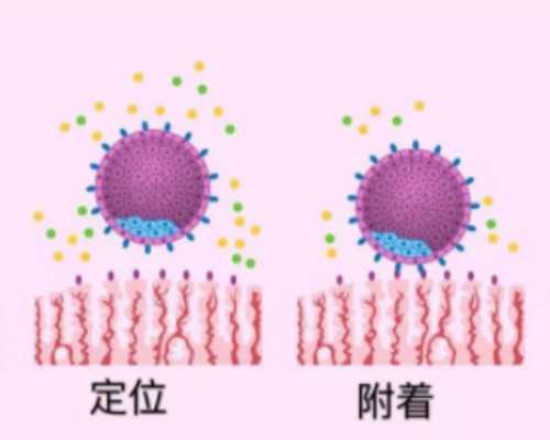 试管婴儿的亲身体验与费用探究：一次全面的揭秘