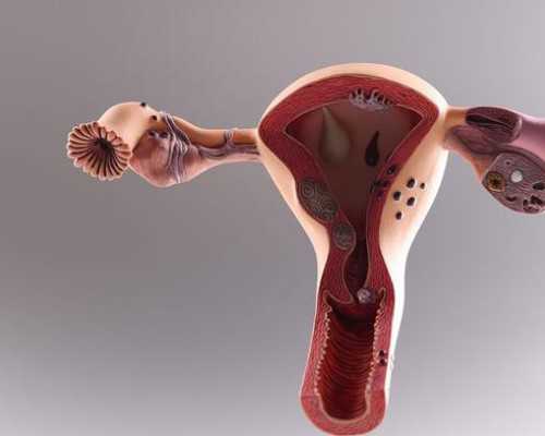 济南靠谱的代怀机构,济南齐鲁医院试管婴儿成功率高吗？和哪些因素有关？_上