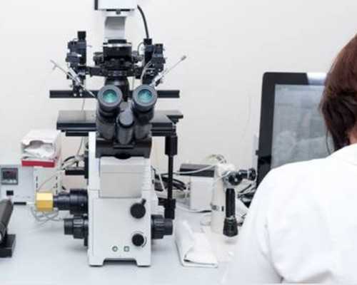 试管查amh哪个科挂号&三代供卵试管公司,什么是子宫内膜炎？子宫内膜炎在备孕