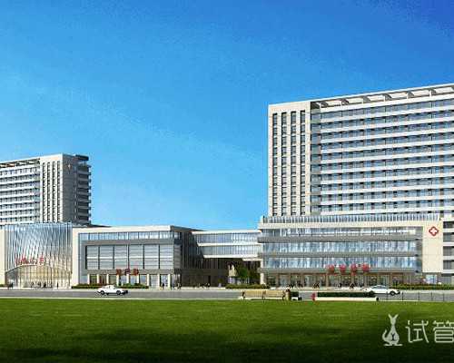 试管婴儿app的供卵电话&人工受精代孕费用,不孕不育初次检查最好“男士优先”