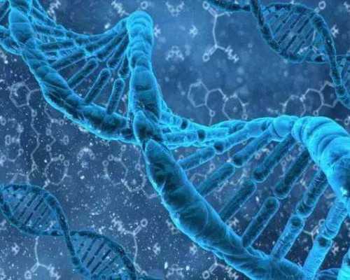 济南代怀中介公司,我是得肺结核造成不能生育的做试管婴儿那家医院最好得_冷