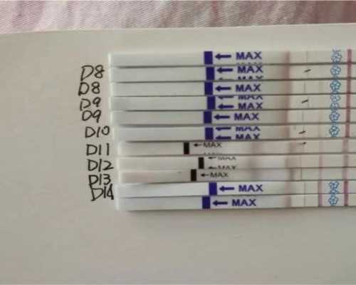 济南同性代生孩子网,做试管婴儿大概要多少时间谢谢_西安供卵自怀费用_移植第