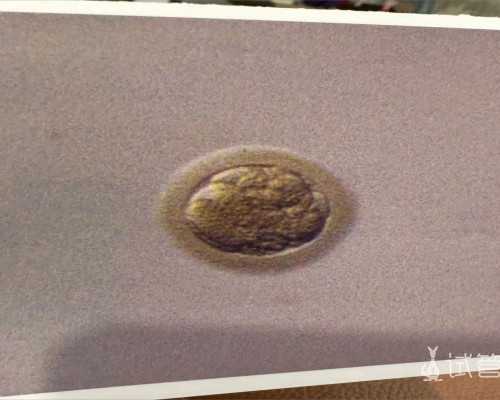 代怀价格表,供卵助孕妈妈,永州三代供卵代怀助孕供卵生孩子机构大全