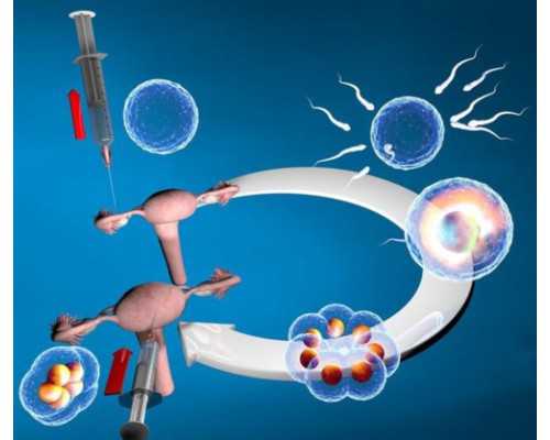 济南靠谱代生机构,梧州试管婴儿医院哪家好，2026
助孕机构排名公布-上海供卵