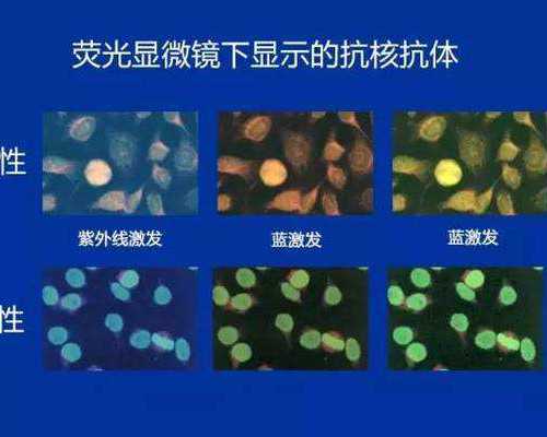 供精医院排名_借卵生男孩,北京口碑好的助孕包性别-正规试管机构