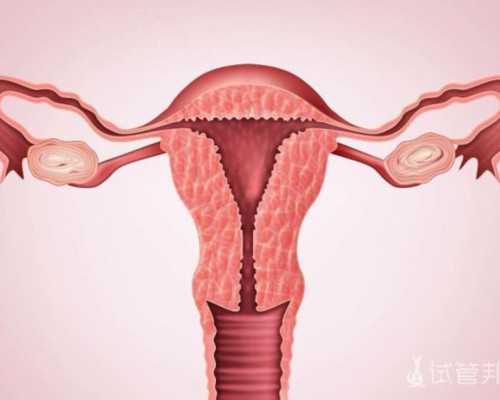 济南代孕网哪个正规,银川同性恋想要孩子怎做-试管助孕机构_试管移植第7天能