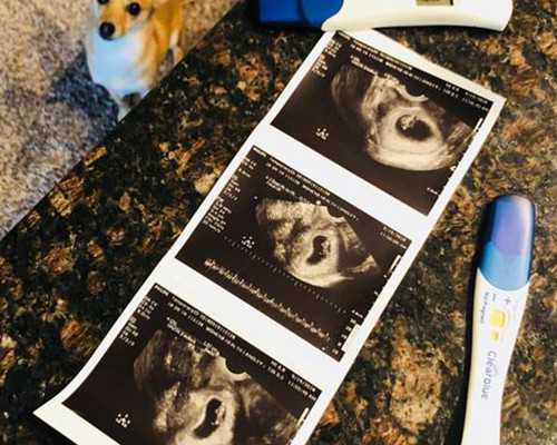 42岁做试管的成功几率&专业供卵价格表,月经期能不能吃火龙果