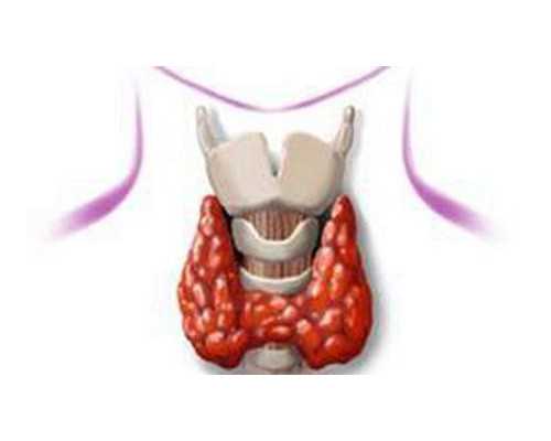 济南代孕靠谱的中心,做试管婴儿，要请假多久？请假几次？需全职试管吗？老