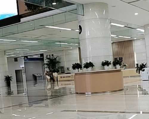 济南专业试管供卵,试管婴儿第三代技术对卵泡有什么要求吗_上海地下医院供卵