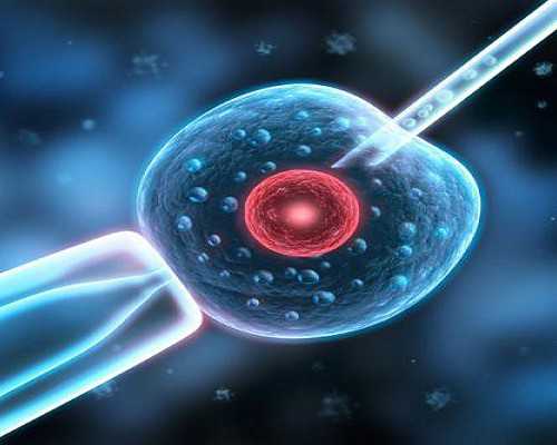 绝经8年还能做供卵试管吗&供卵专注孕妈妈赞,孕期吃什么补蛋白质