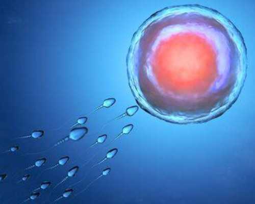 正规医院供卵助孕多少钱&怎么举报地下供卵,女生备孕吃什么水果好