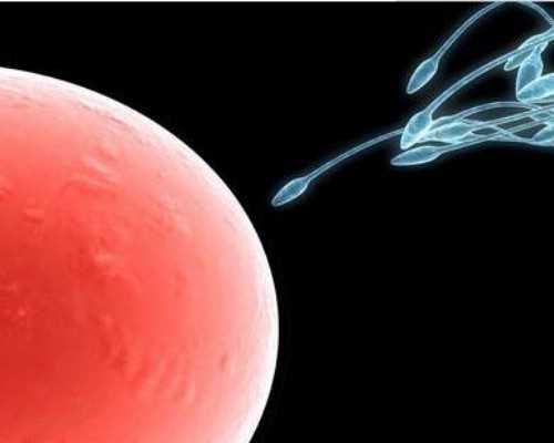 弱精能做试管吗成功率高吗&正规医院供卵花费,女人月经期后几天是安全