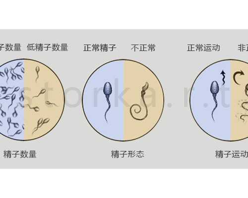 济南专业的代孕机构,北京供卵价格表（北京供卵北医三院供卵价格）_上海供卵