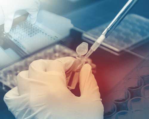 接受不了供卵的孩子&试管供卵供精多少钱,高龄女性什么时候备孕生二胎最合适