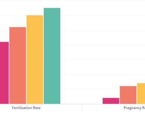 正规代孕公司-试管婴儿移植后B超检查孕囊形状异常是什么意思？