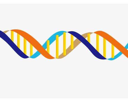 怎么预防手腕腱鞘炎，舒婷避孕药