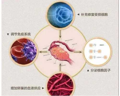 夏季抽绳帽子适合0-1岁婴儿的选择