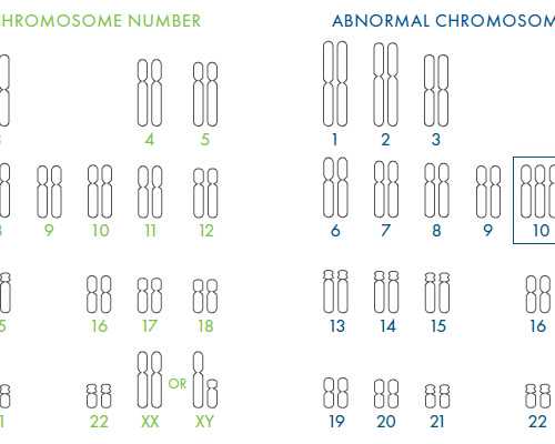 哪里有正规医院可以做供卵&好大夫在线 供卵,不孕不育的检查项目是什么?